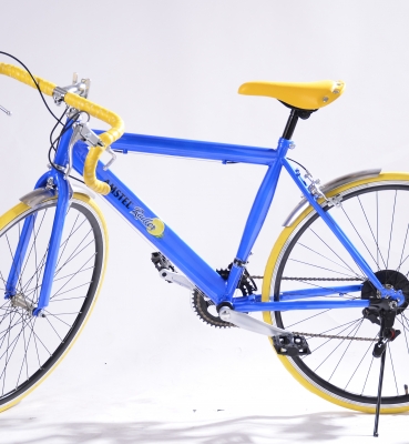 Bicicleta Radler