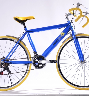 Bicicleta Radler